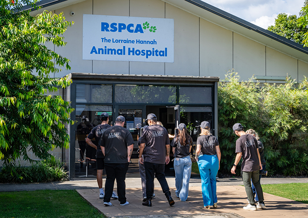 Clare May Real Estate team vising the RSPCA Animal Hospital.